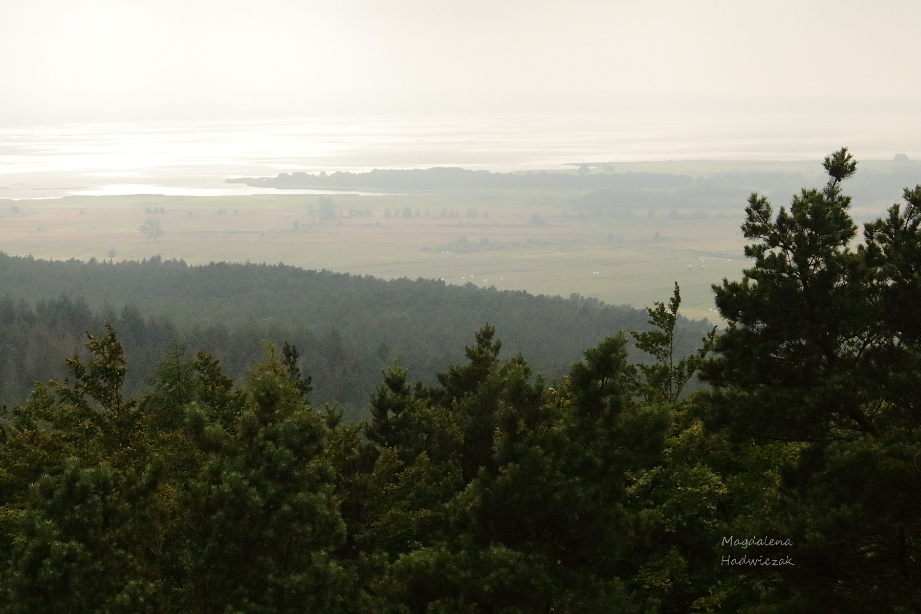 Panorama Słowińskiego Parku Narodowego las i morze
